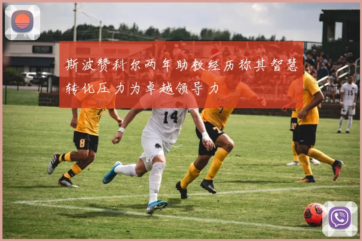 斯波赞科尔两年助教经历称其智慧转化压力为卓越领导力