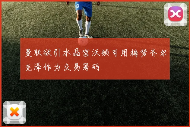 曼联欲引水晶宫沃顿可用梅努齐尔克泽作为交易筹码